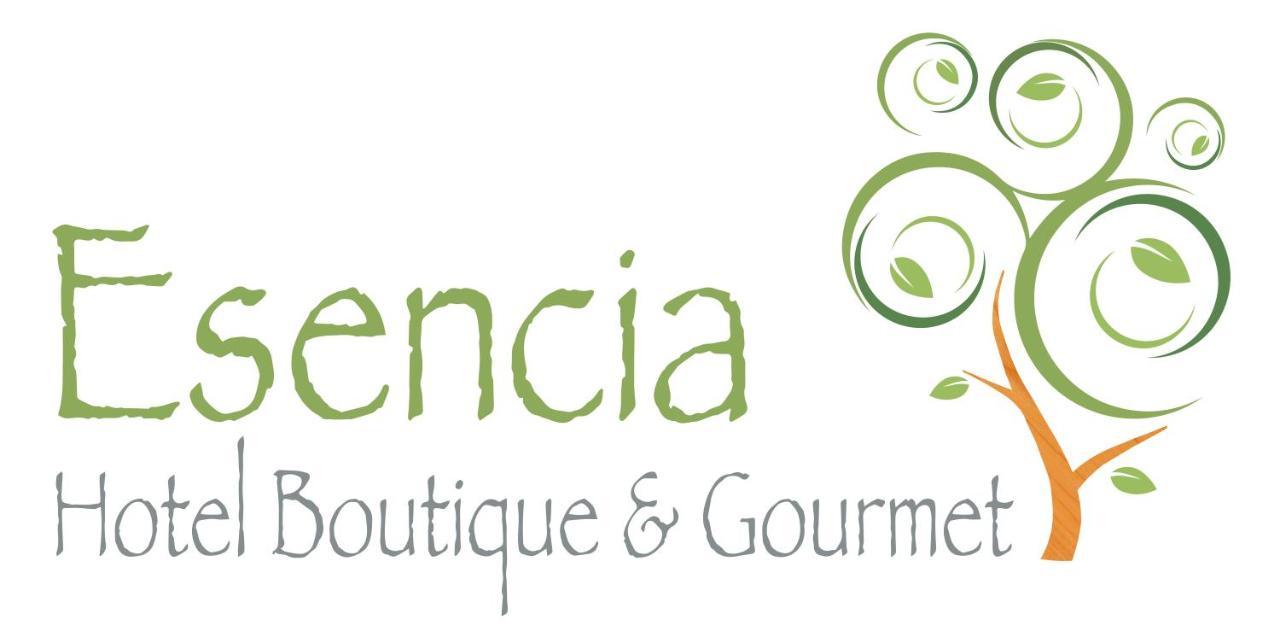 Esencia Hotel Boutique Vina del Mar Exterior foto